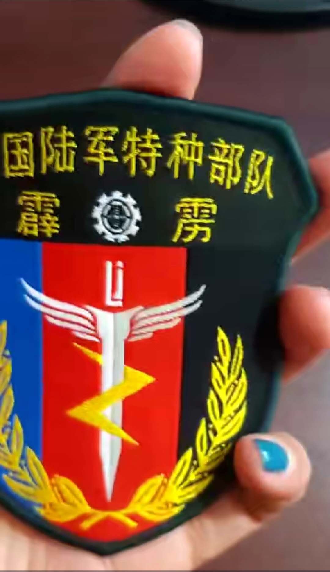 特种部队霹雳袖标袖章 旗帜布料制作(图2)